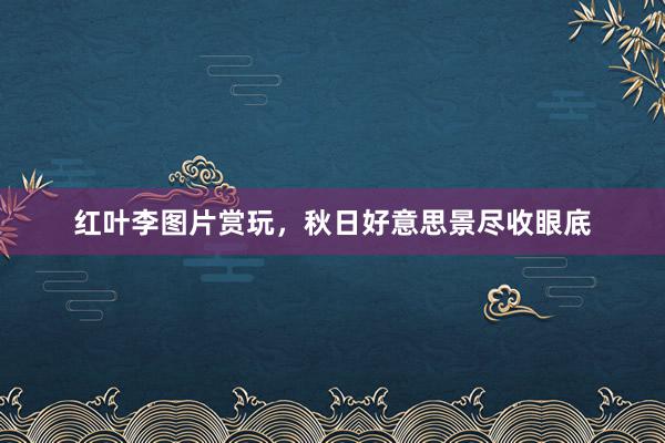 红叶李图片赏玩,秋日好意思景尽收眼底