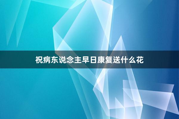 祝病东说念主早日康复送什么花