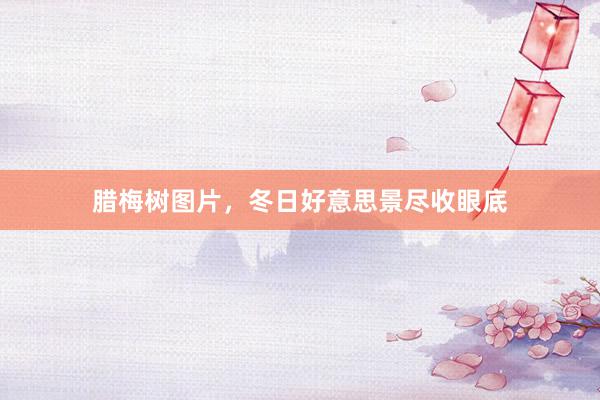 腊梅树图片，冬日好意思景尽收眼底