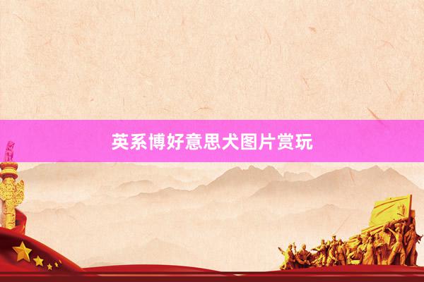 英系博好意思犬图片赏玩