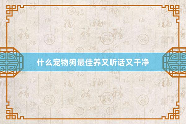 什么宠物狗最佳养又听话又干净