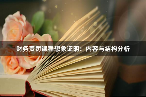 财务责罚课程想象证明：内容与结构分析
