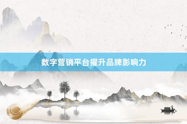 数字营销平台擢升品牌影响力